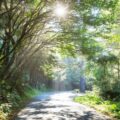 Waldweg - Psychotherapie Waldweg - Psychotherapie
